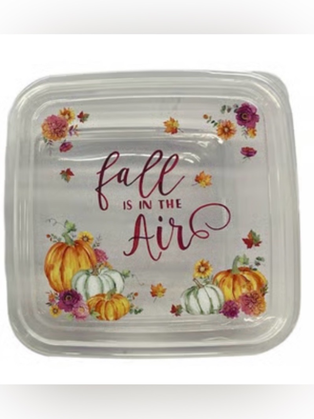 NWT Essentials Harvest-Themed Square Plastic Container
